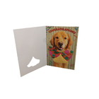 Birthday Recordable Greeting Cards With Visual LED Lights 4C Printing Autoplay
